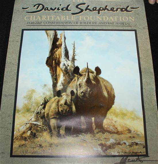 D Sheppard print